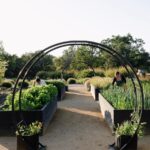 Our local experts share top tips, advice and plans for your best garden ever.
