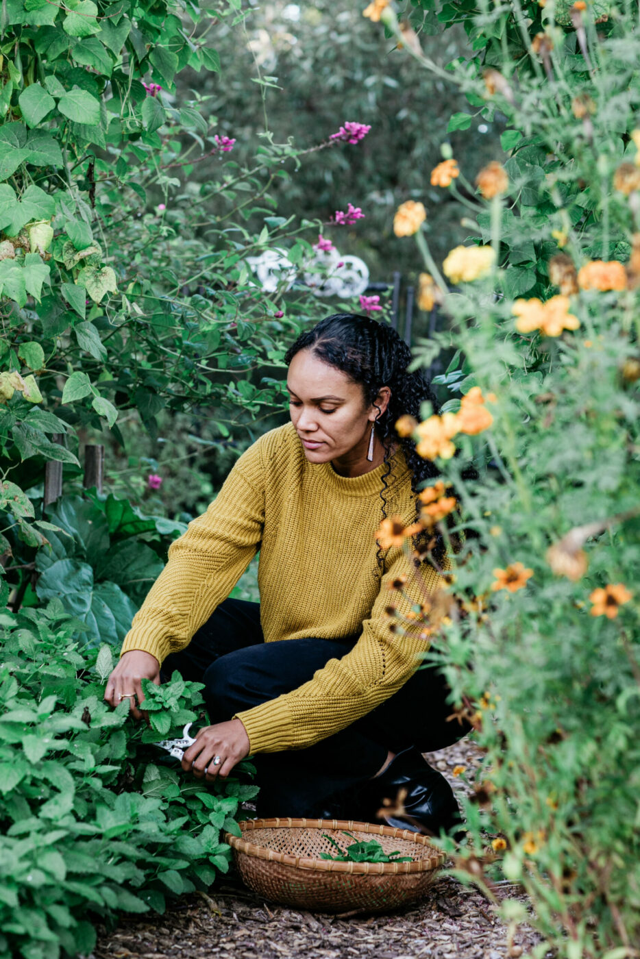Santa Rosa herbalist Jennifer Ilonzeh forages for herbs for her wellness teas