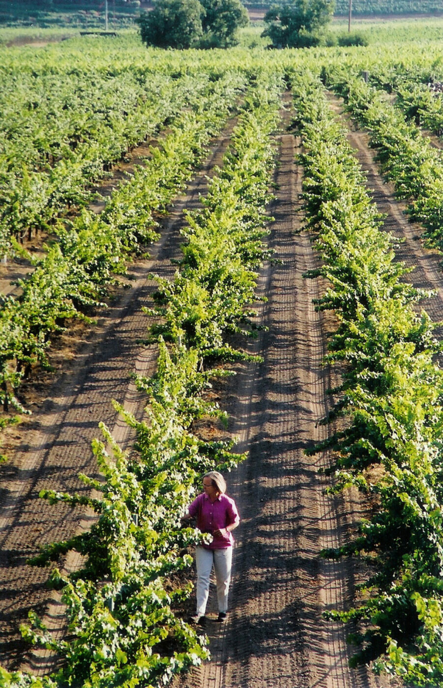 Cathy Corison works in the Corison Vineyard in Napa Valley. (Chicago Tribune/MCT)