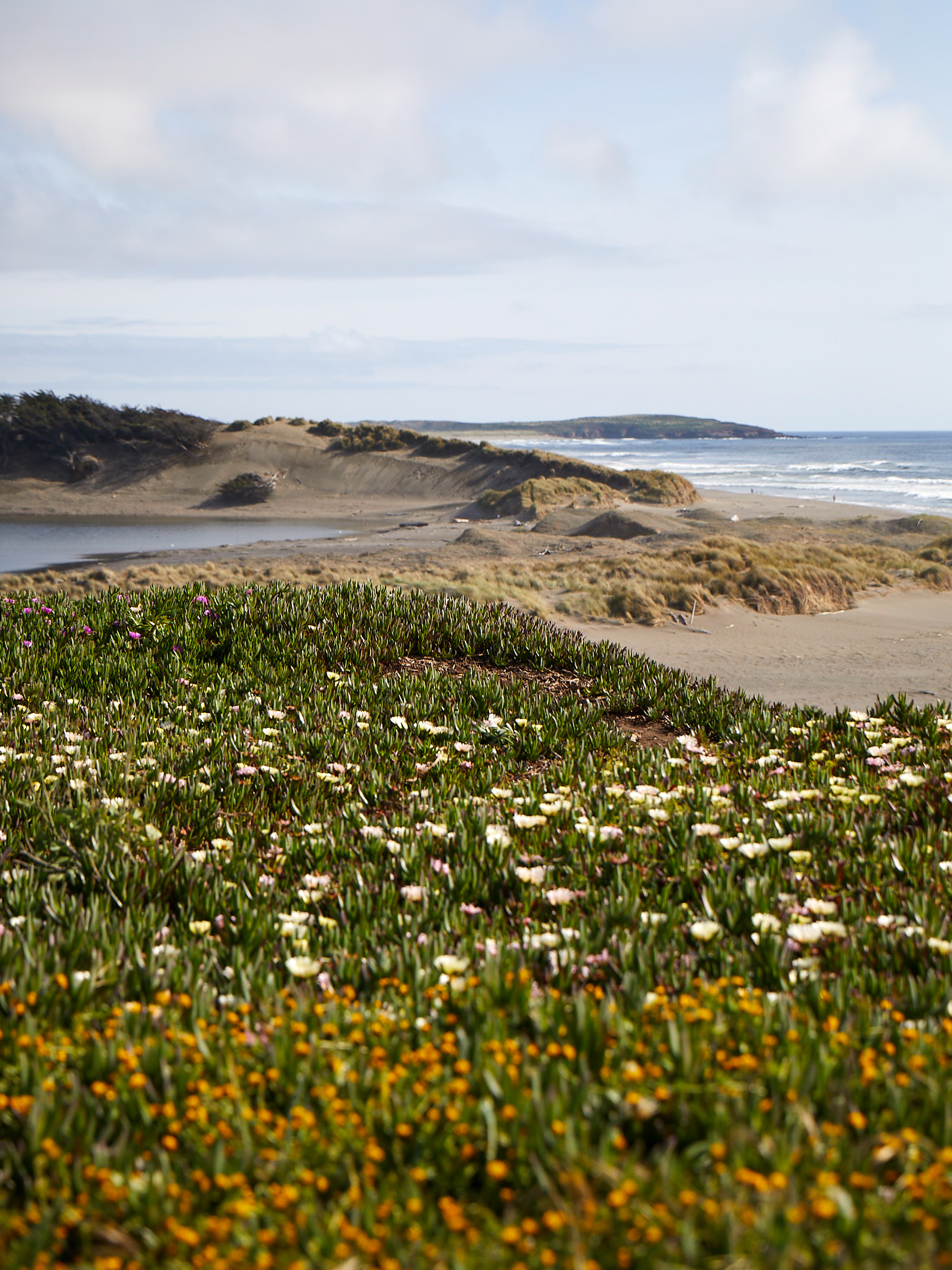 Sonoma Coast