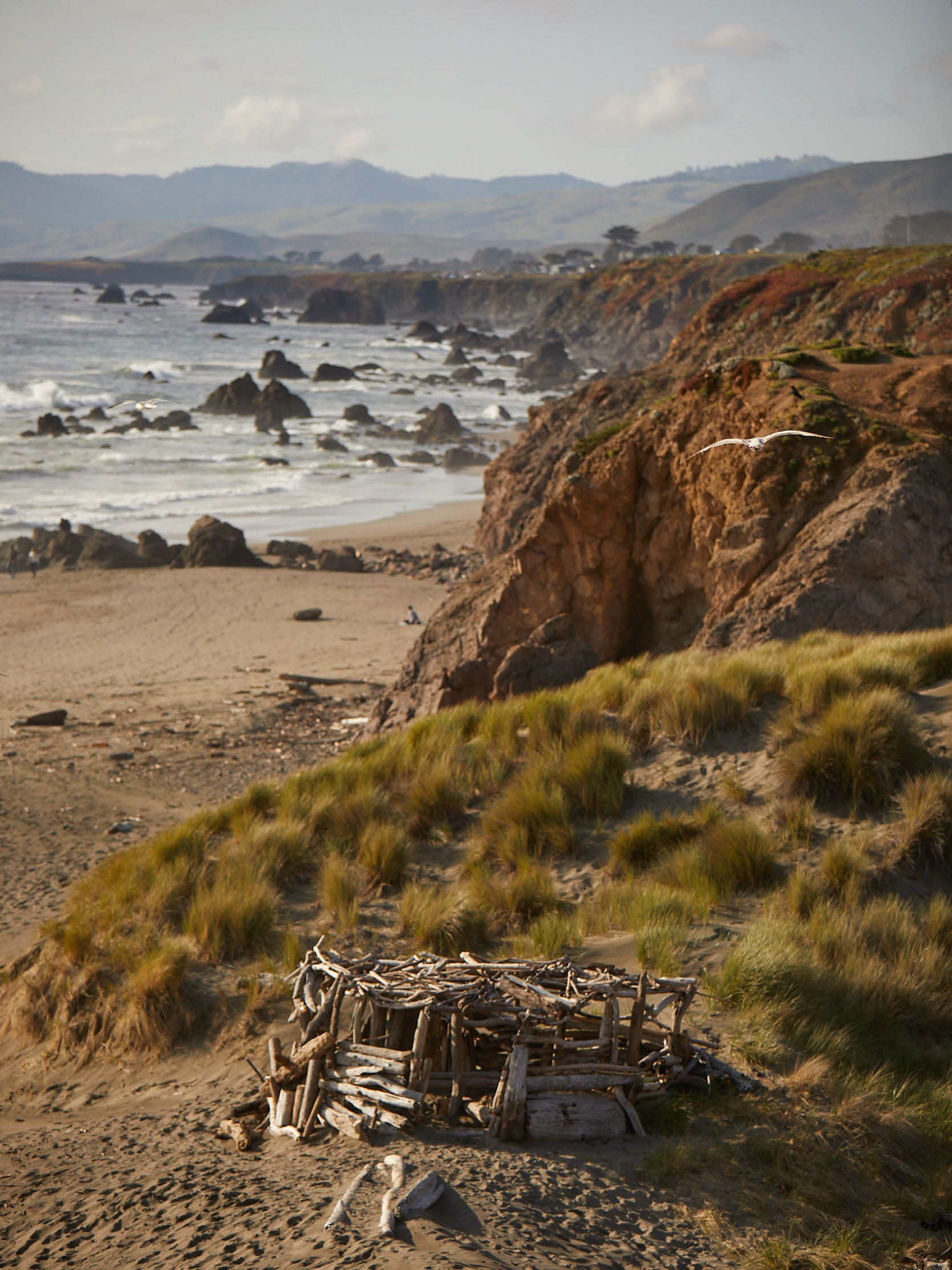 Sonoma Coast