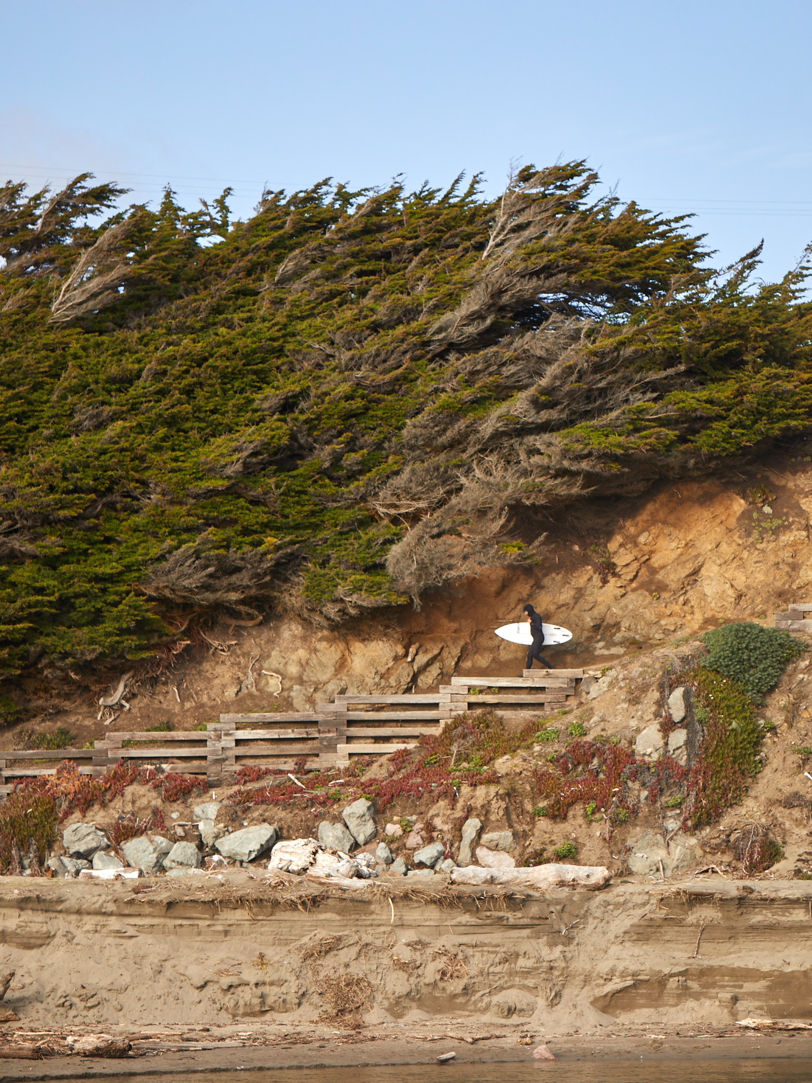 Sonoma Coast