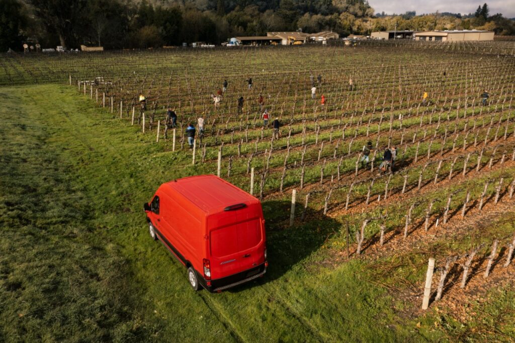 Dutton Ranch vineyard Sebastopol