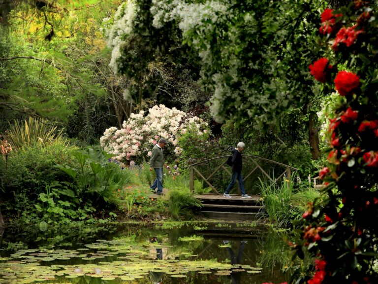 Spring colors envelop John Leipsic of Larkspur and Wendy Robbins of Massachusetts as they tour the Western Hills Garden in Occidental, Tuesday, May 14, 2019. (Kent Porter / Press Democrat) 