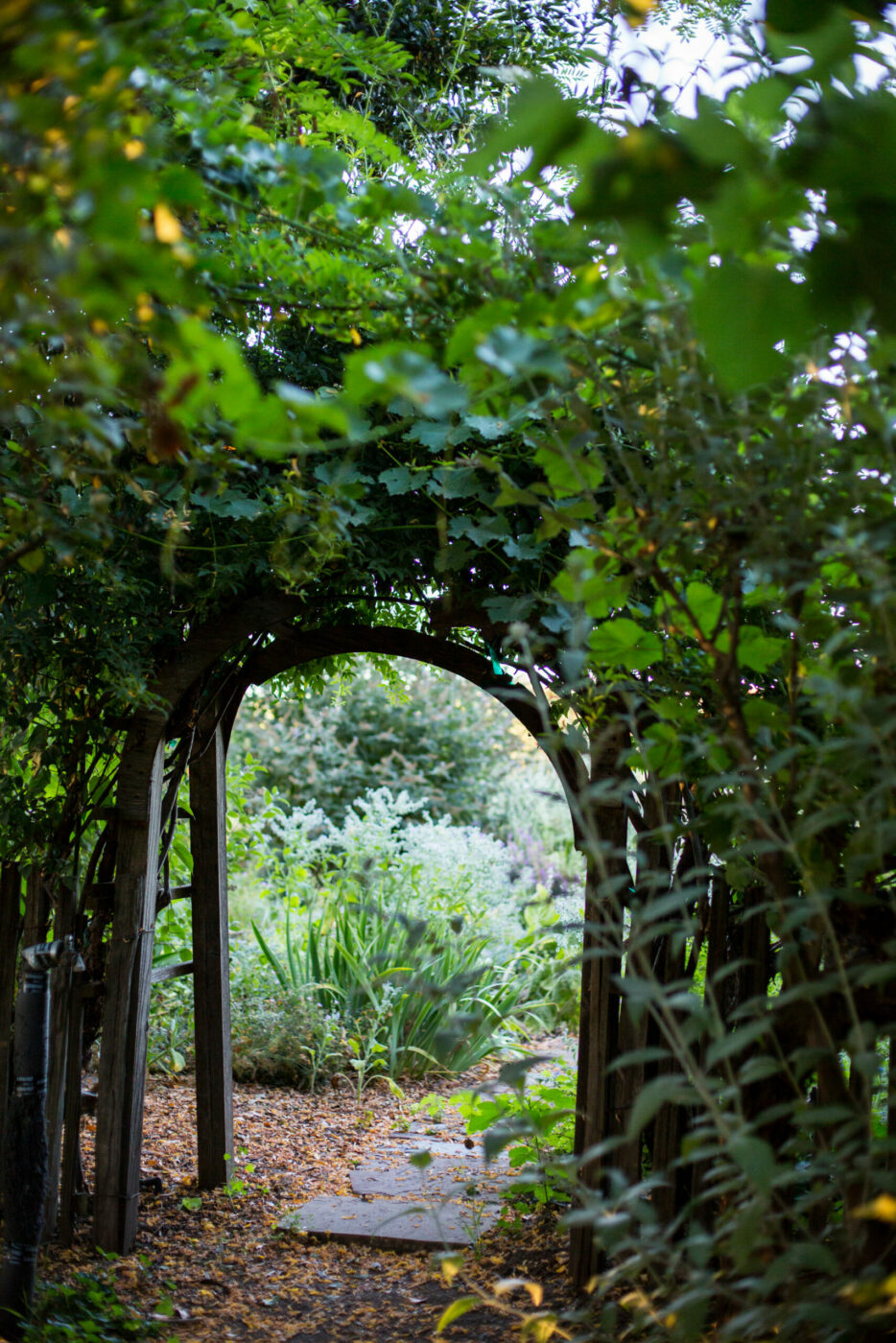 Preston winery