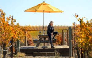 At Donum Estates, Anne Moller-Racke takes in the view of the Carneros wine growing region, Friday Nov. 1, 2013, east of Sonoma. (Kent Porter / Press Democrat)