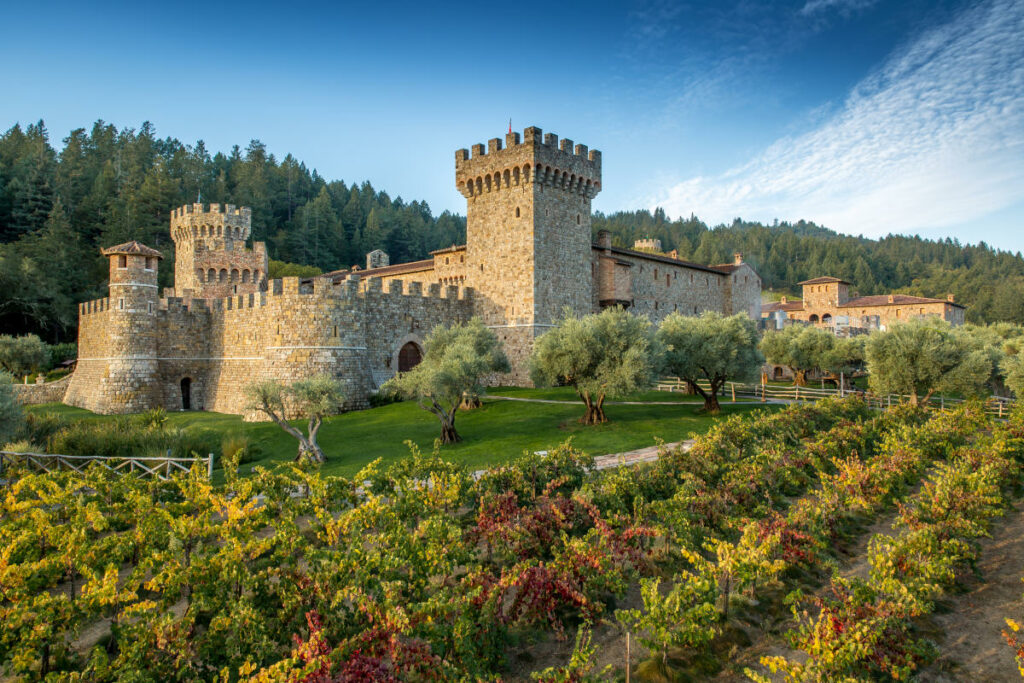 12 Unique Winery Experiences in Sonoma and Napa Wine Country