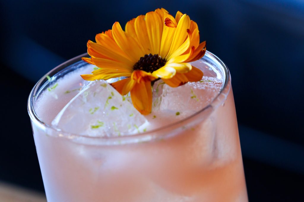 Great Places for Winter Cocktails in Sonoma County