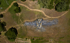 Earth artist Kelsi Anderson who paints artworks with natural pigments right into the landscape that are ephemeral and disappear with wind and rain and grass, shows off their most recent work in Green Valley west of Sebastopol. (Chad Surmick / The Press Democrat)