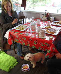 Dogs are welcome at Occidental's Howard's Station Cafe