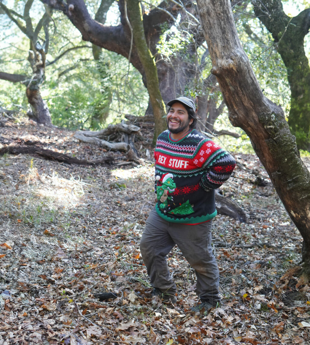 LandPaths tree hunt