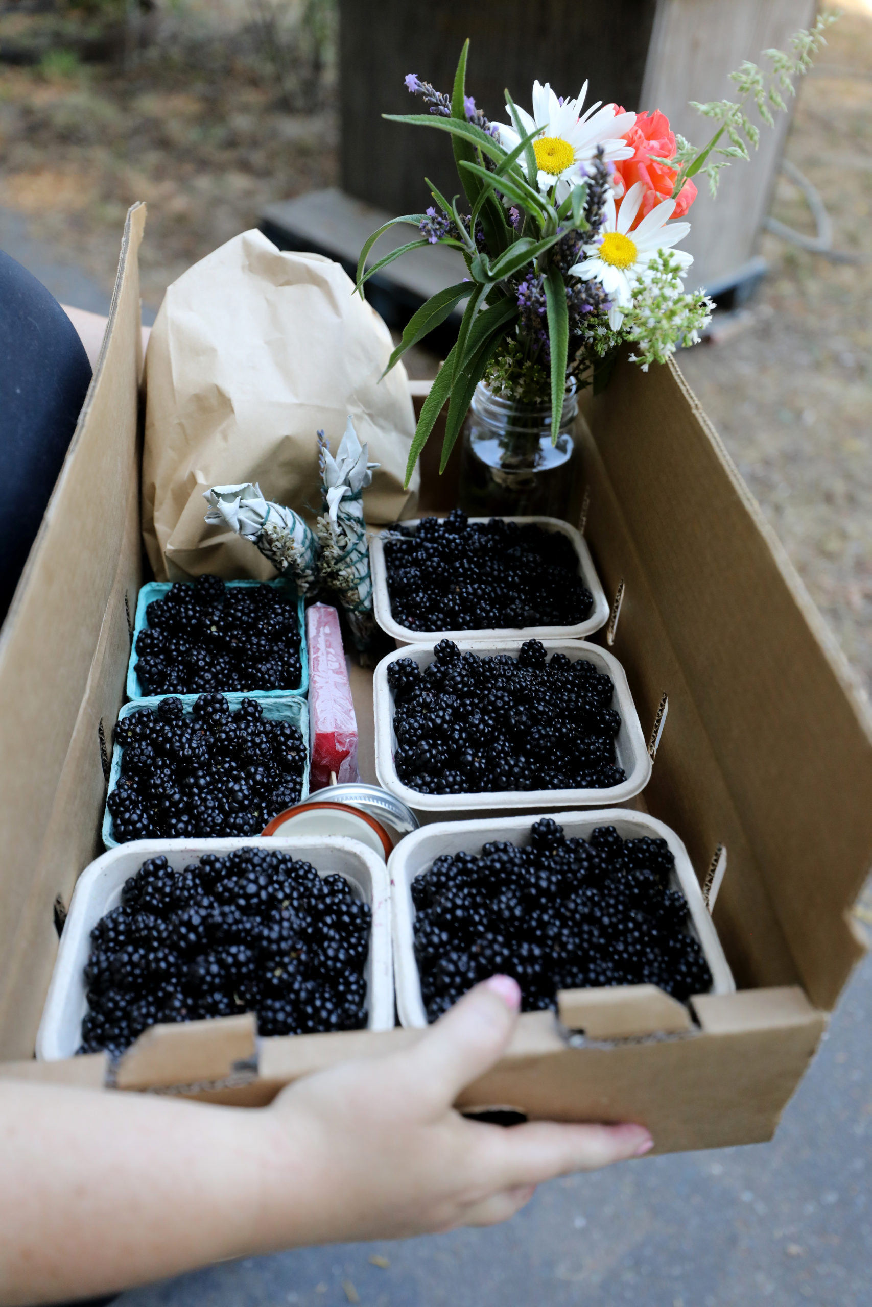 EARTHseed Farm in Sebastopol