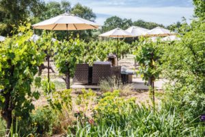 Best Sonoma wineries Abbot's Passage