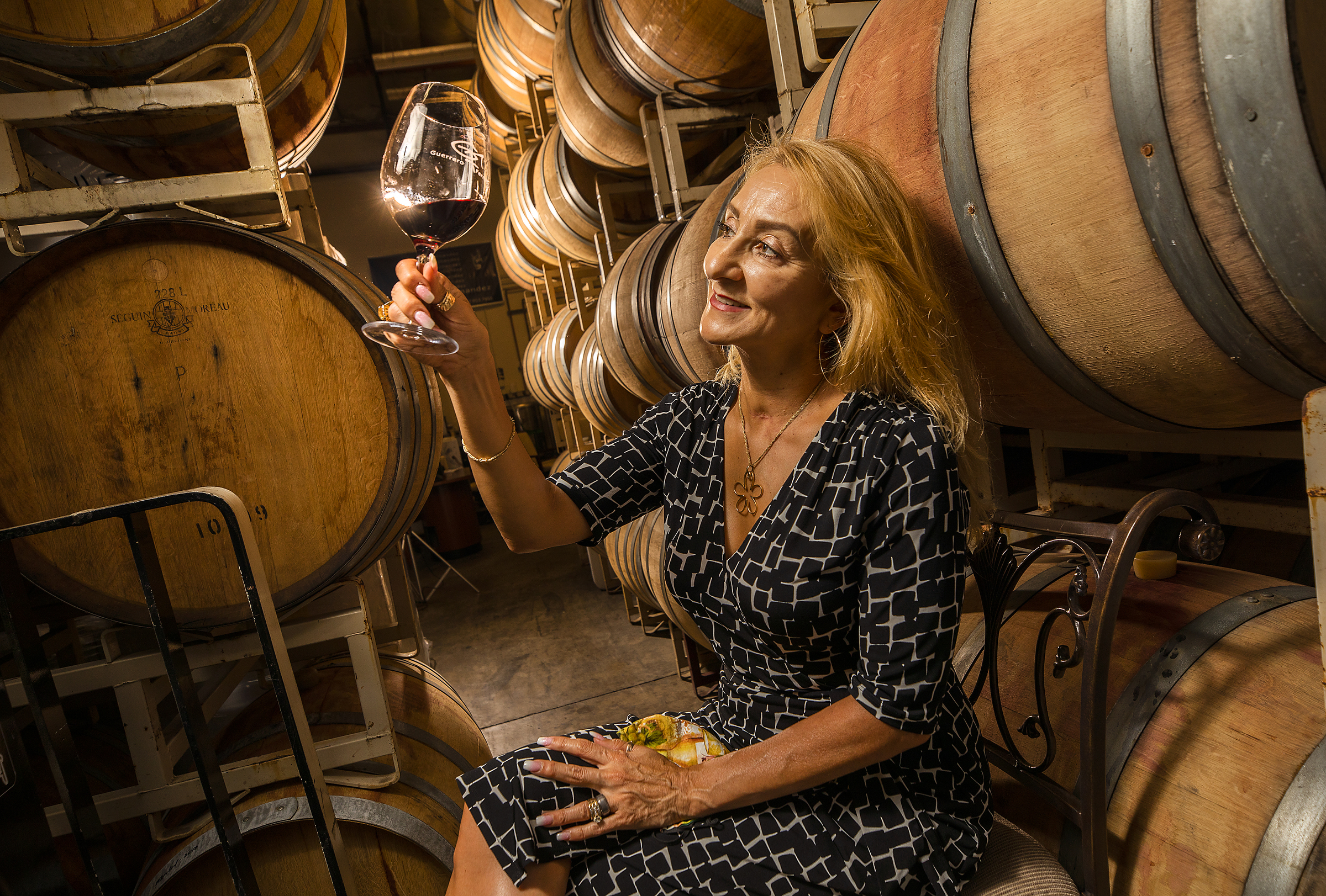 Sonoma County winery 