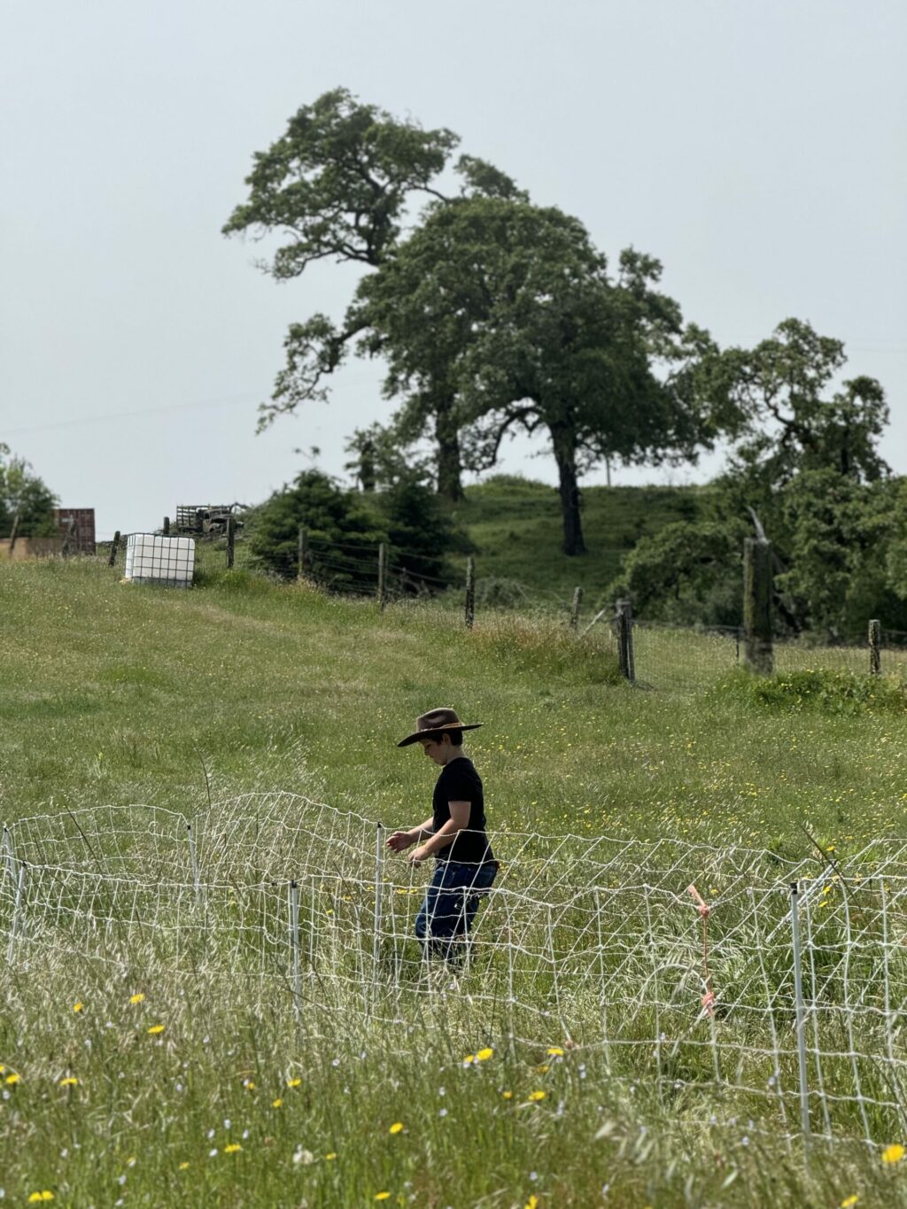 Wild Things Ranch