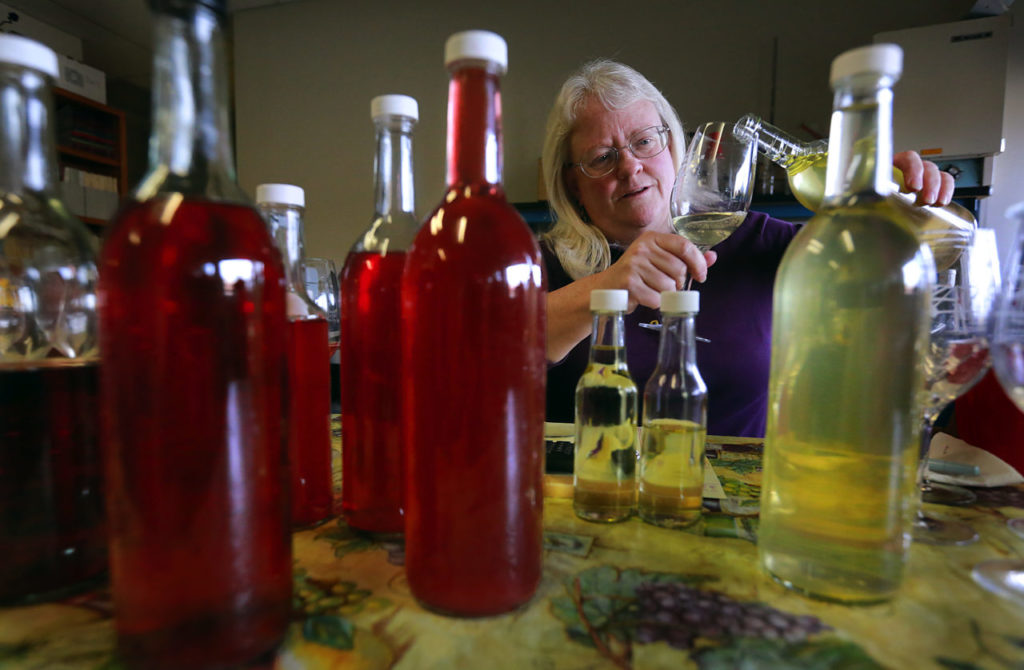 Carol Shelton wines