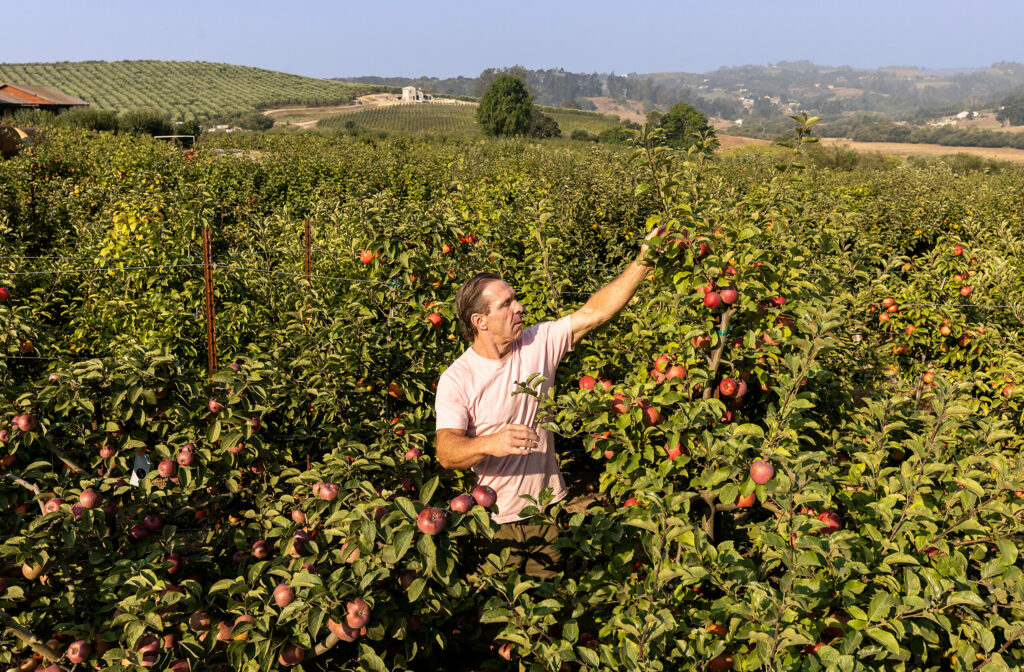 Gold Ridge Organic Farms owner and farmer Brooke Hazen 