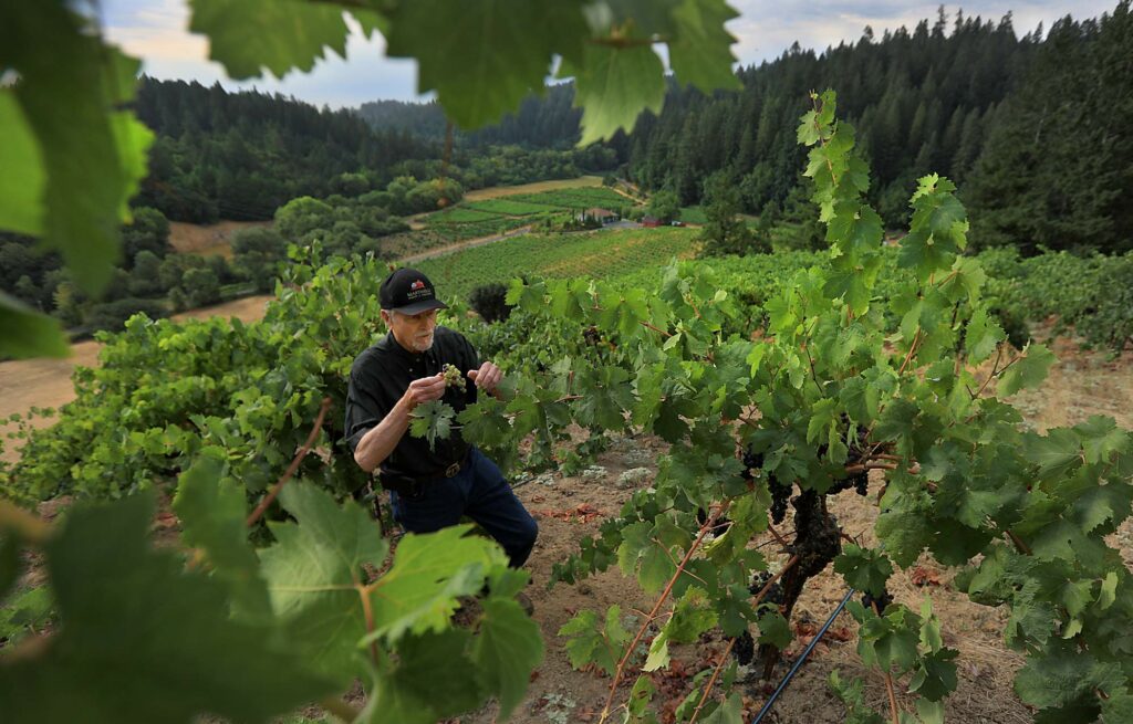 Martinelli Winery & Vineyards