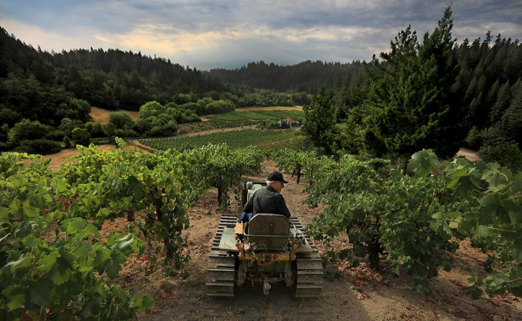 Martinelli Winery & Vineyards
