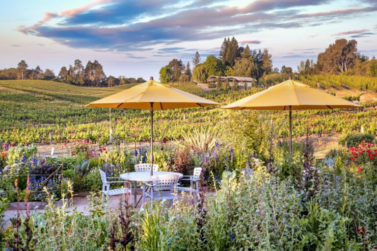 The colorful flowers in the winery gardens of Lynmar Estate in Sebastopol make for a pretty backdrop for a selfie. (Lynmar Estate)