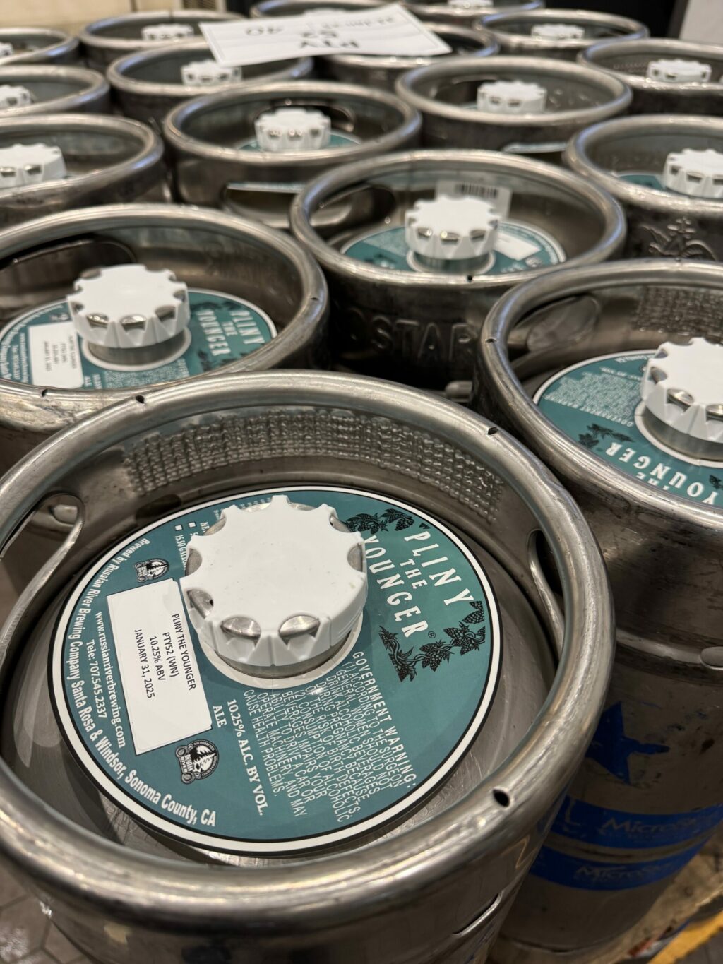 Pliny the Younger