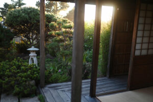 Ren Brown and his gallery and Japanese garden in Bodega Bay, Calif., Nov. 11, 2023. (Photo: Erik Castro/for Sonoma Magazine)