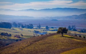 Tolay Lake Regional Park, located between the Petaluma River and the Sonoma Valley. (Robbi Pengelly/Sonoma Index-Tribune)