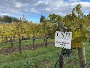Unti Vineyards in Healdsburg. (Courtesy of Unti Vineyards)